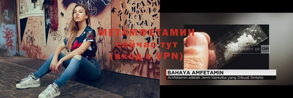шишки Гусев