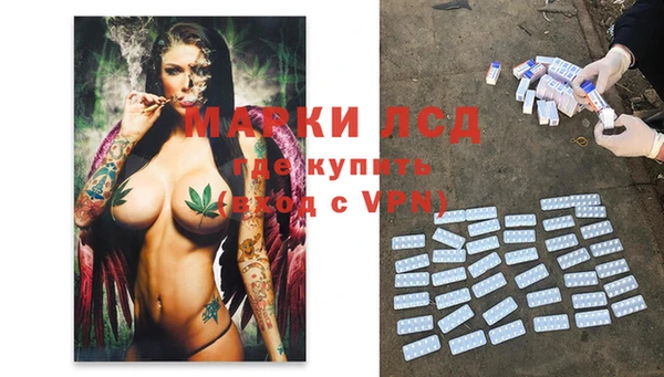 a pvp Алзамай