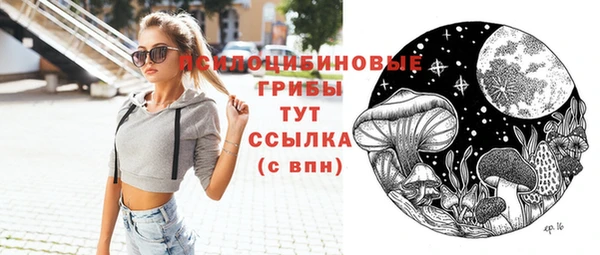 молекула духа Инта